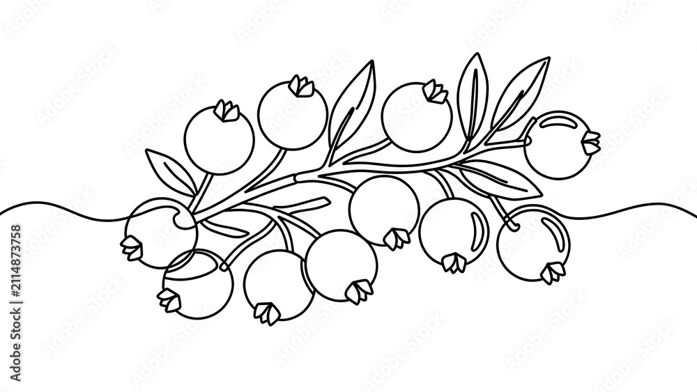 Hand drawn cranberry branch illustration white background.
