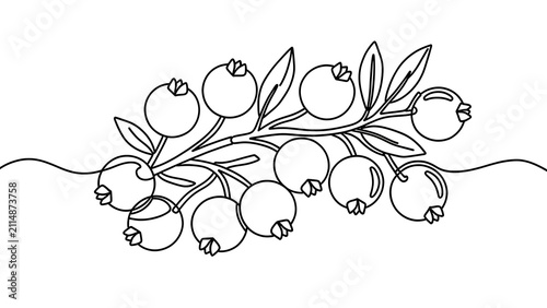 Hand drawn cranberry branch illustration white background.