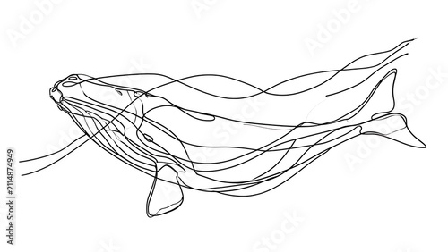 Minimalist whale line art drawing white background.