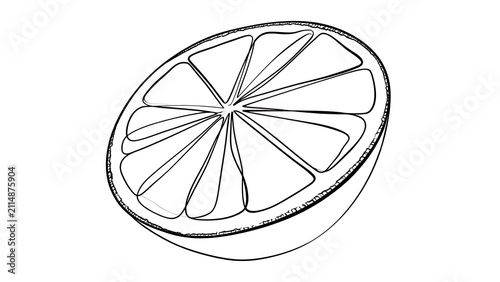 Sliced citrus fruit illustration on white background.