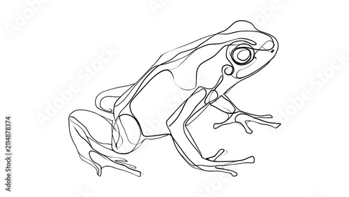 Detailed frog line drawing on white background.