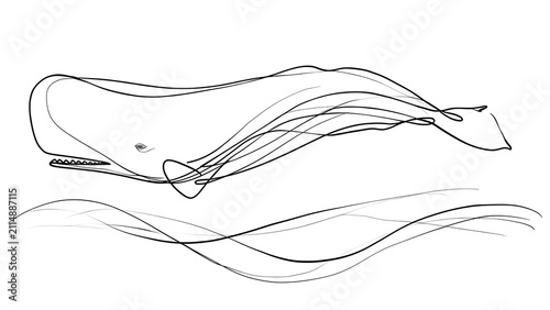 Minimalist whale line art drawing white background.