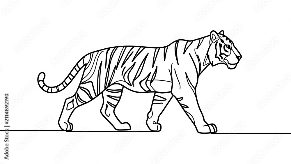 Obraz premium Tiger walking illustration on white background.