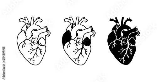 Anatomical Heart Vector Icons, Medical Symbol Set, Cardiology Health Graphics