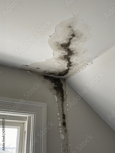 Severe black mold growth spreading across a damp ceiling corner caused by water leak and moisture damage inside a residential home