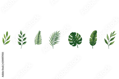 Various green tropical leaves arranged in a row on a white background with soft natural lighting