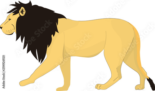 Photography Side profile vector illustration of a lion isolated on white.