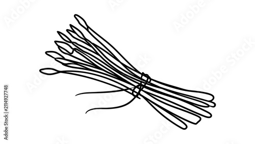 Bundle of asparagus illustration on white background.