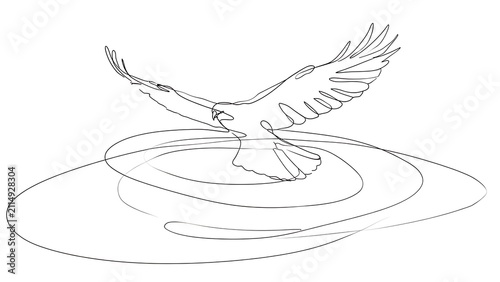 Eagle flying over water ripples white background.