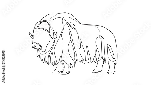 Minimalist bison line art drawing white background.