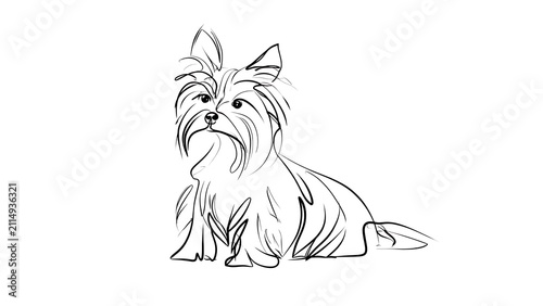 Cute small dog illustration on white background.