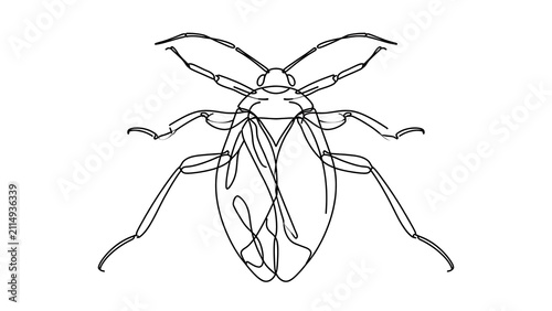 Minimalist insect line art drawing white background.
