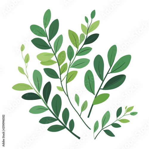 A collection of hand drawn green leafy branches isolated on a white background.