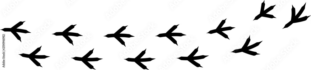 Fototapeta premium Bird footprint icon, chicken paw vector track, turkey foot print line pattern