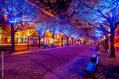 Fotografie Unter den Linden: Blue-lit avenue of trees along a Berlin boulevard at night, li
