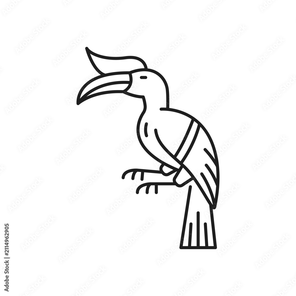 Fototapeta premium Tucan bird line art drawing, tropical bird with massive bill isolated linear icon. Vector hand drawn feathered parrot animal, toco fowl with long beak, exotic rainforest jungle bird of Thai Thailand