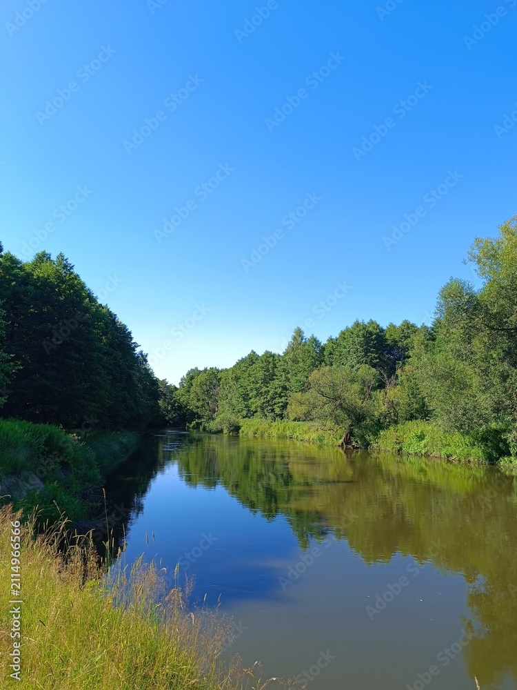 Fototapeta premium Slow moving river winding through a dense green forest. Summer nature landscape with clear blue sky and water reflection
