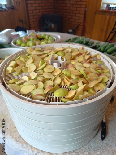 Sliced apples on a white food dehydrator tray. Preparing homemade dried fruit snacks in a rustic kitchen. Food preservation equipment on a table