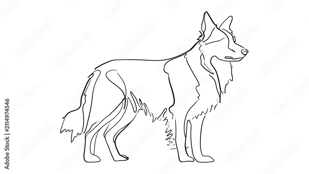 Obraz premium German Shepherd outline drawing white background.