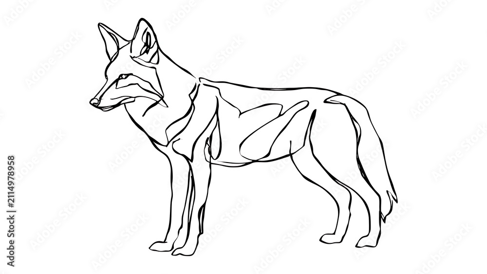 Obraz premium Minimalist fox line art drawing white background.