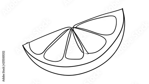 Fresh citrus slice illustration on white background.