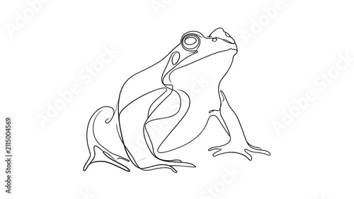 Line art frog illustration on white background.