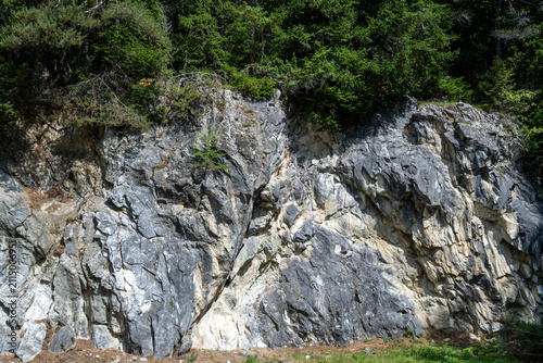 Paroi rocheuse escarpée en calcaire strié avec végétation alpine à la base, géologie et texture de roche naturelle.