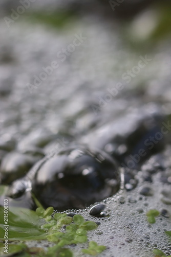 Obraz na płótnie Close-up of bubbles and foam on water surface with green plant detail