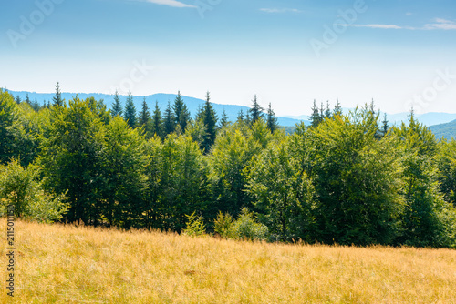 Photography mountain landscape of ukraine