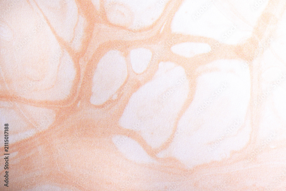 Fototapeta premium Neutral Beige Organic Abstract Background