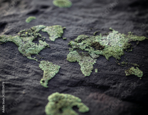 overhead macro of pale green lichen growing on granite, naturally creating continent-like abstract patterns with  organic textures.