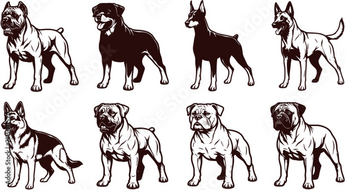 Canvastavla Eight Guard Dog Breeds Vector Illustration Set In Monochrome Style