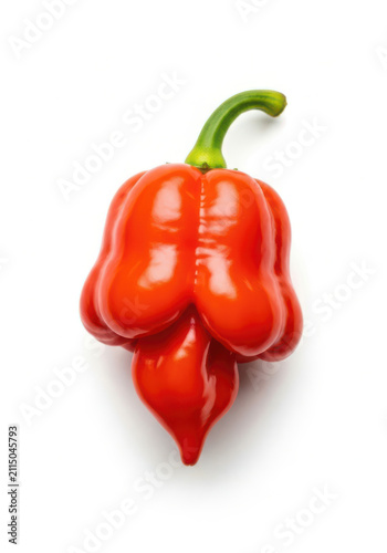A single vibrant shiny red habanero pepper isolated against a clean stark white background surface