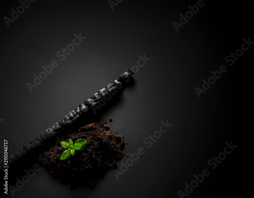 minimalist conceptual composition contrasting a charred matchstick with a fresh green sprout