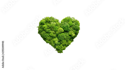Green moss heart shape on white background