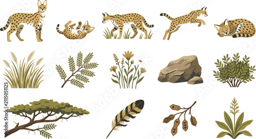 Set of hand-drawn serval cat illustrations with African savannah flora including rocks, grass, and acacia branches