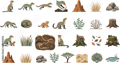 Fotografie Set of mongoose animal icons and savannah landscape elements in a modern flat ve