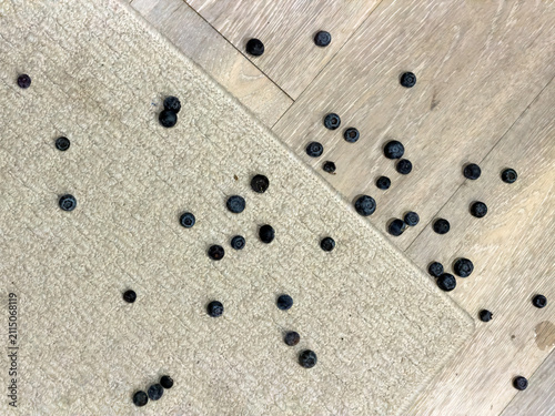 Foto Blueberries (unidentified species) dropped accidentally onto a residential kitch