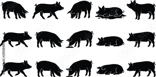 Bild auf Leinwand Pig Silhouette Vector Set Featuring Farm Animals in Standing Walking Eating Snif