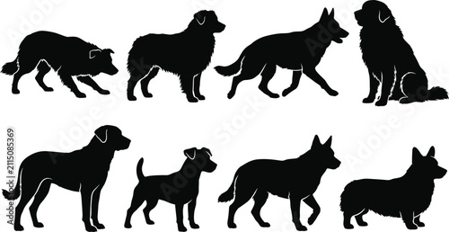 Foto Set of black dog silhouettes in various poses including standing, sitting, and w