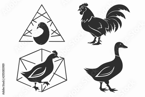 Set of four black and white farm bird icons in flat style