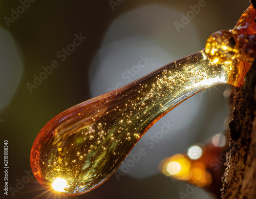 close-up of translucent golden tree resin illuminated by warm sunlight with naturally trapped air bubbles and intricate patterns