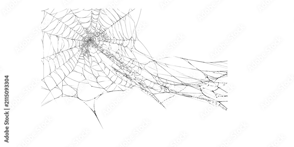 Obraz premium Left Cluster Spider Web Sketch Illustration, Hand Drawn Cobweb Line Art with Spreading Wispy Threads Isolated on White Background, Black and White Ink Drawing of Web Pattern for Halloween Design