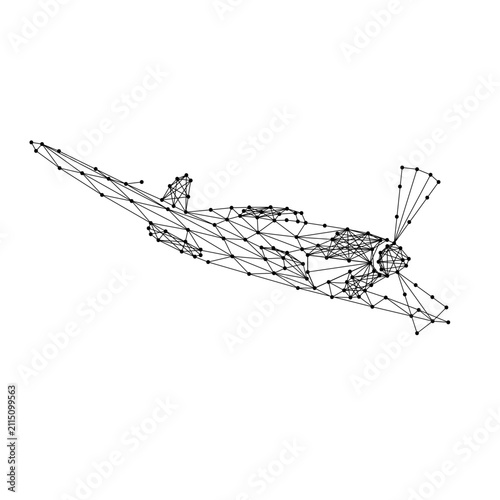 dive fighter with propeller from abstract futuristic polygonal black lines and dots