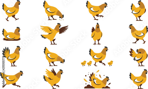 Collection of flat vector chicken illustrations showing diverse behaviors like walking, eating, and nesting