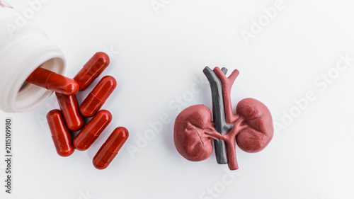 Fotografie Red capsules spilling next to a kidney model on a clean background