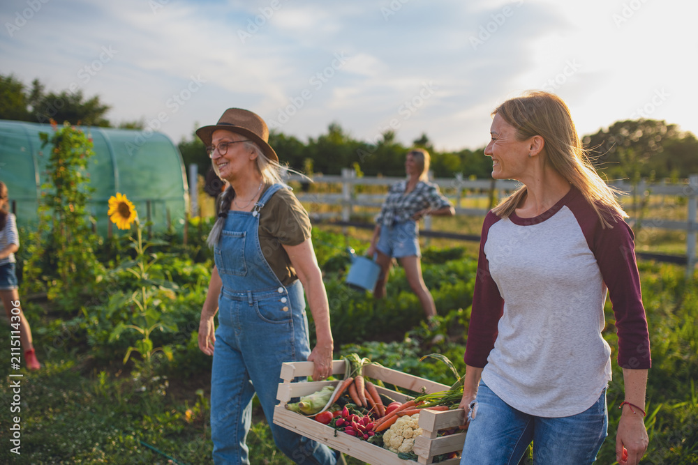 Obraz premium Two female farmers carrying crate full of fresh vegetables from garden harvest.