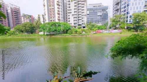 Lush Green Urban Park Pond with Modern High-Rise Buildings and Foliage Reflected on Water