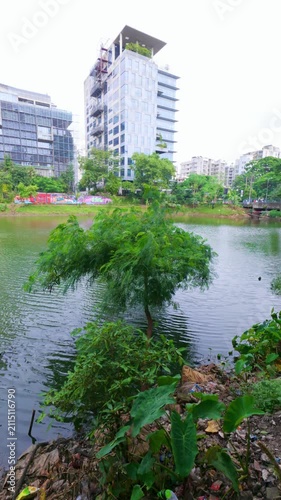 Modern High-Rise Office Tower Standing Behind a City Park Lake with Lush Shoreline Foliage