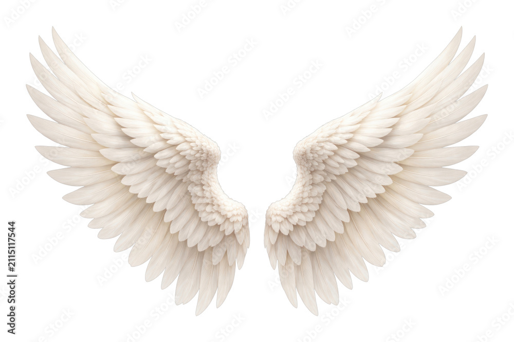 Fototapeta premium PNG Elegant white angel wings on a white background.